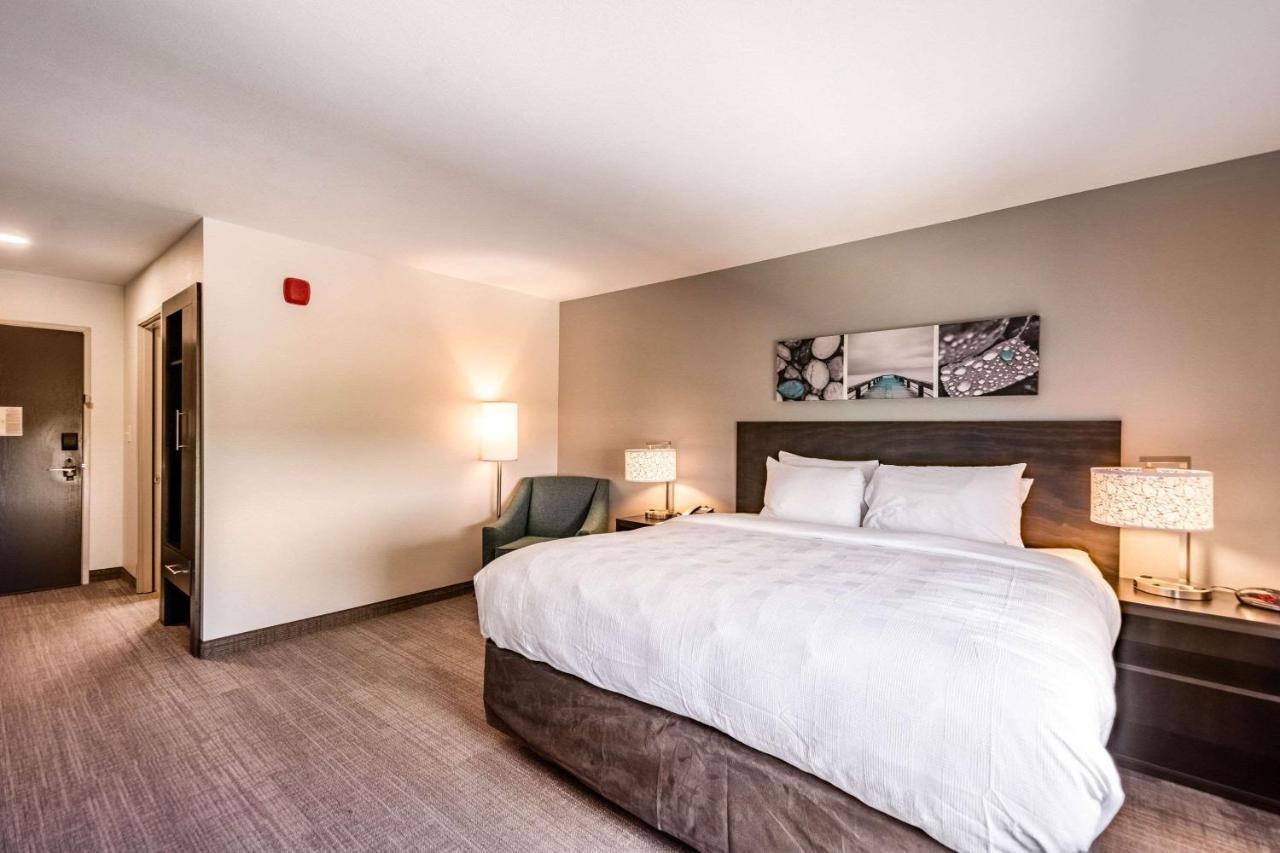 Mainstay Suites Sarasota I-75 Fruitville Экстерьер фото
